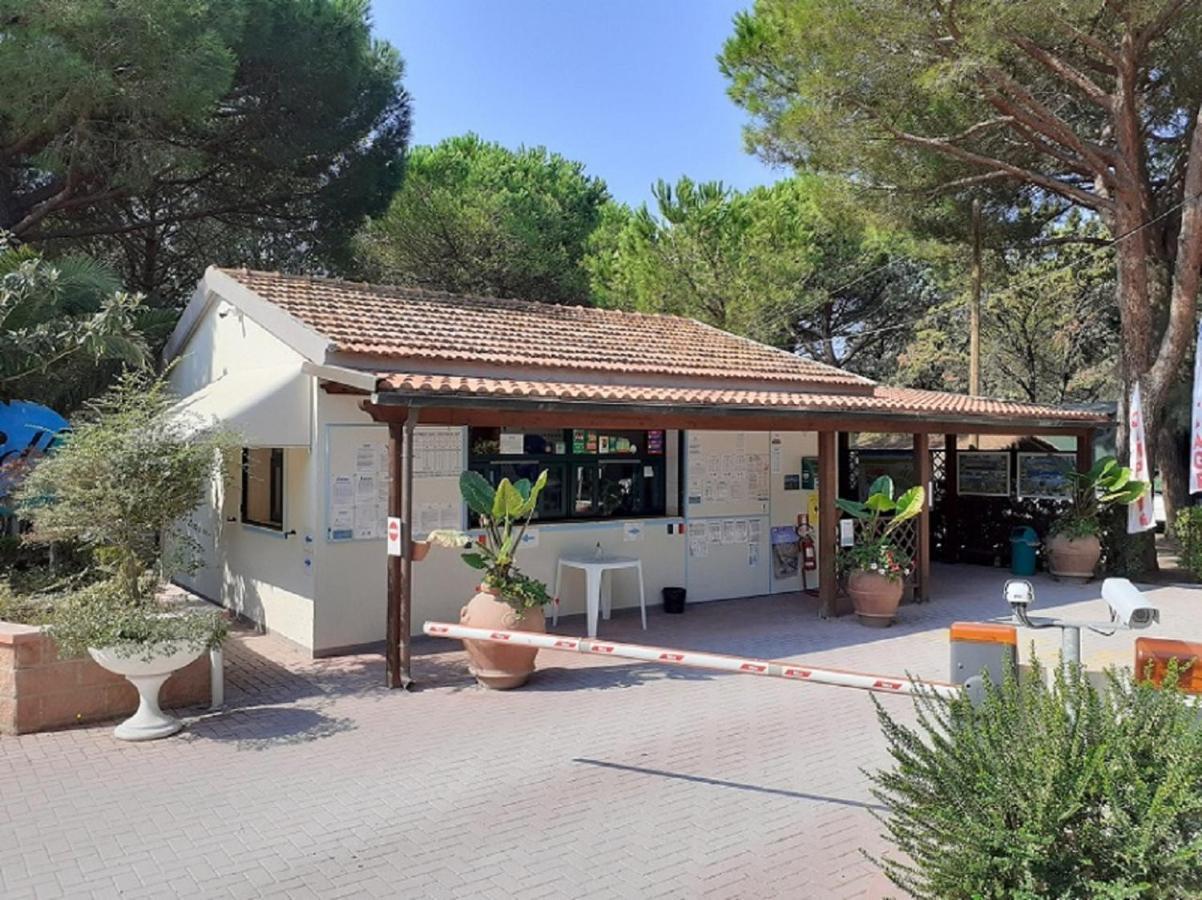Appartamenti Campeggio Del Forte Marina Di Bibbona Luaran gambar